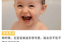 小八和逗逗,欢乐伙伴的奇妙冒险之旅